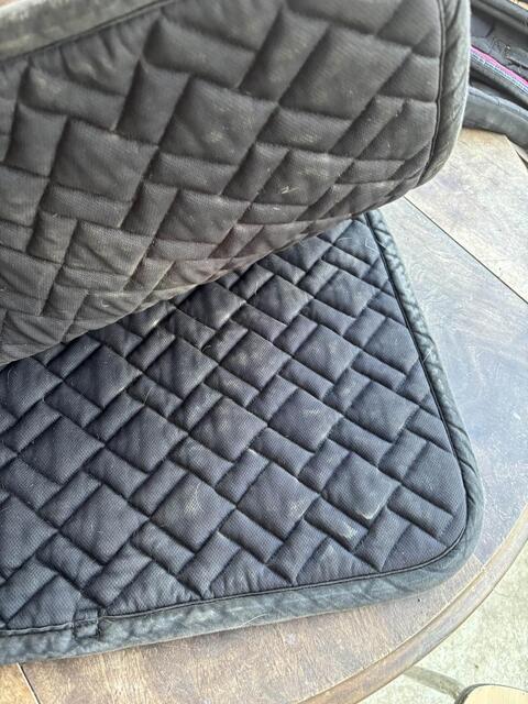 tapis equitheme