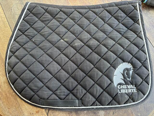 tapis cheval liberté