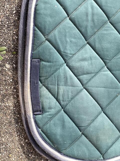 tapis privilège équitation