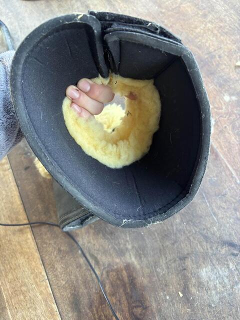 une paire de cloche eskadron