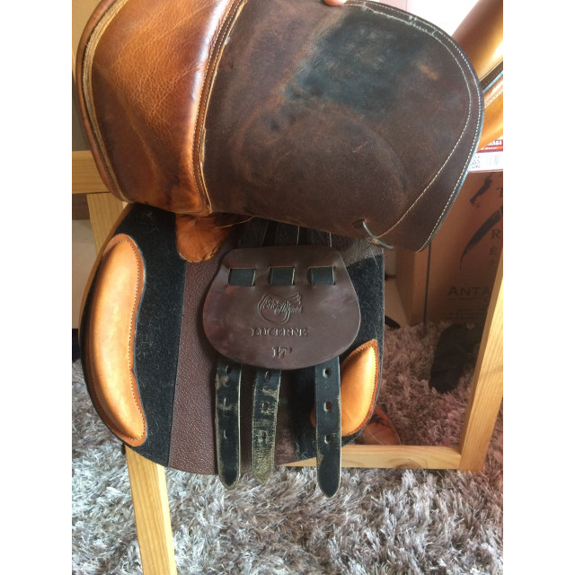 Selle d'obstacle Eric Thomas modèle Lucerne