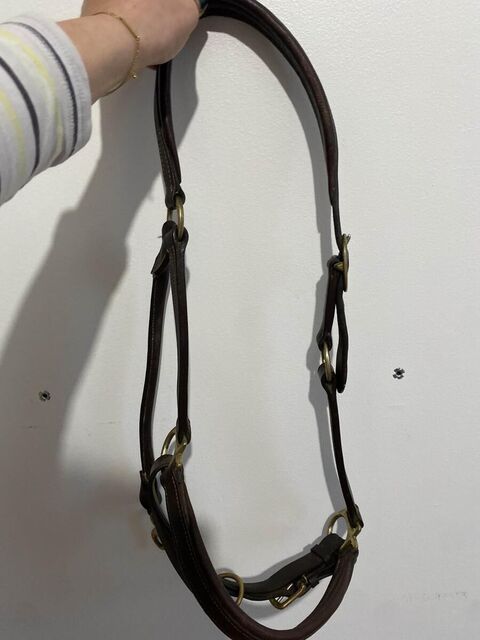 licol cuir marron