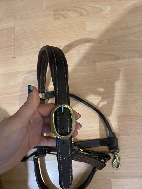 licol cuir marron