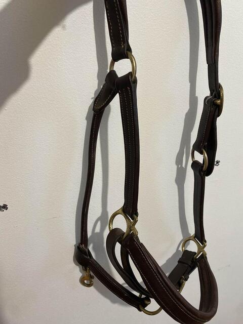 licol cuir marron