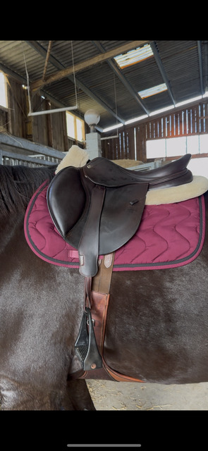 Selle CWD
