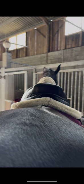 Selle CWD