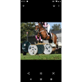 Guêtres de cross