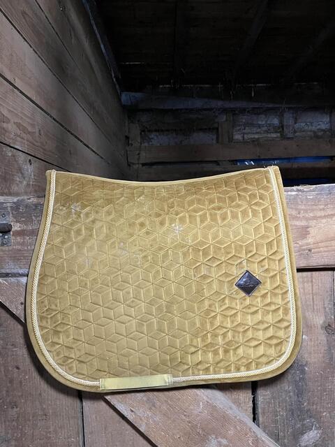 tapis kentucky velvet