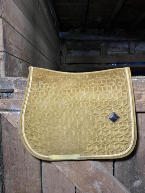 tapis kentucky velvet