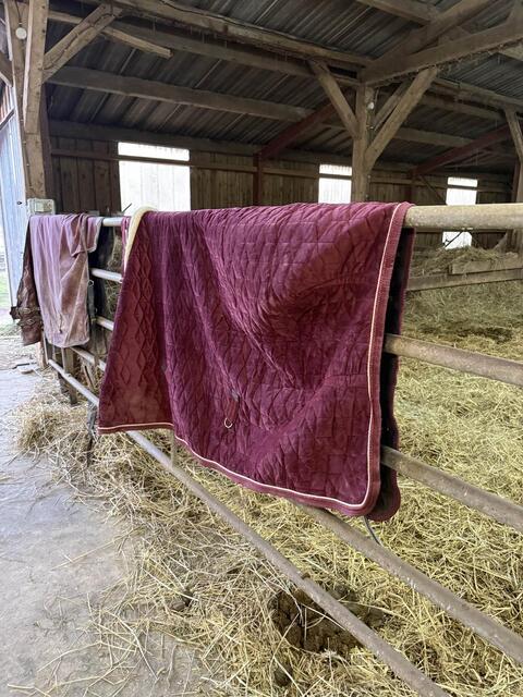 couverture kentucky velvet