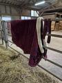 couverture kentucky velvet