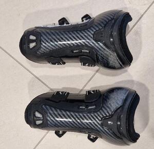Veredus carbon absolute