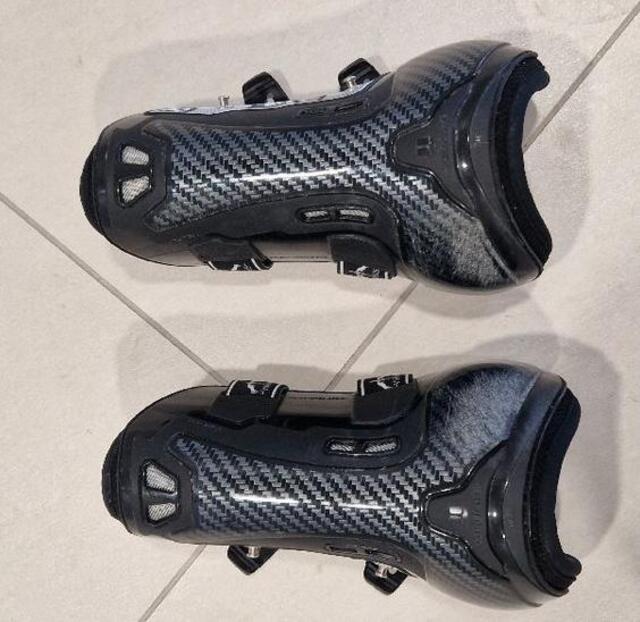 Veredus carbon absolute