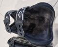 Veredus carbon absolute