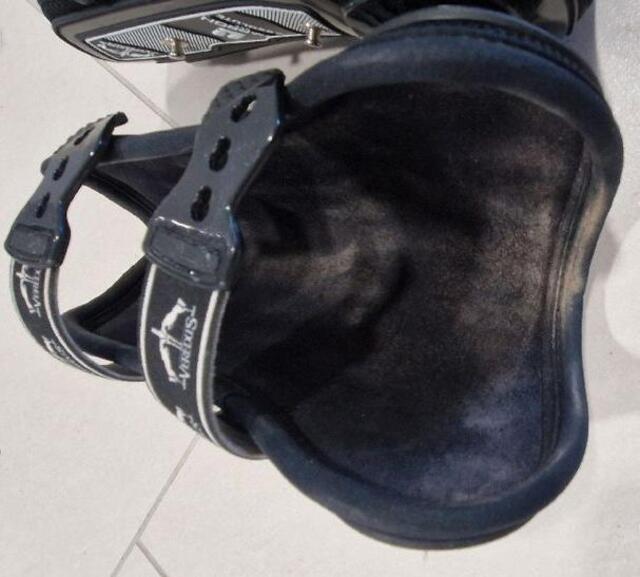 Veredus carbon absolute