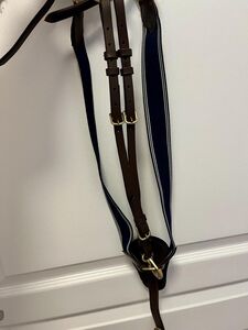 collier de chasse time rider
