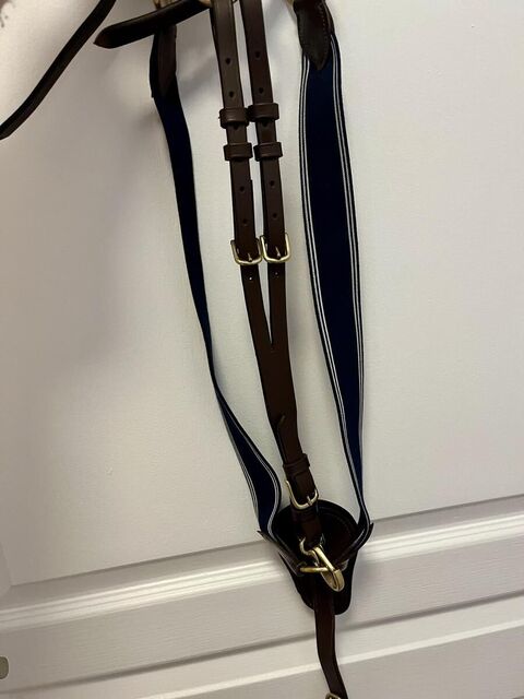 collier de chasse time rider