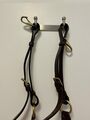 collier de chasse time rider