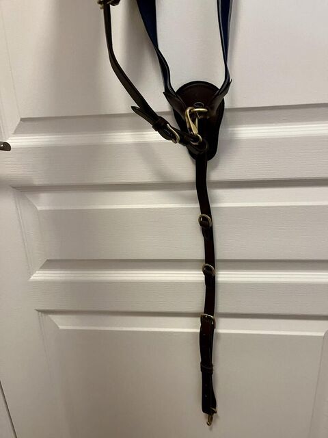 collier de chasse time rider