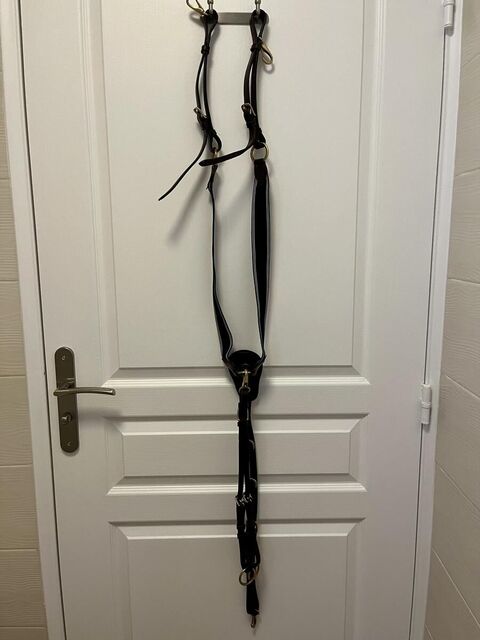 collier de chasse time rider