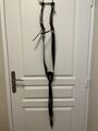 collier de chasse time rider