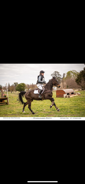 Bricole cuir Devoucoux