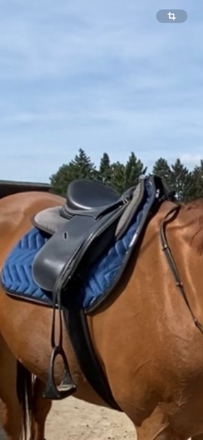 Selle mixte Tekna noir