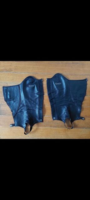 Chaps Equestro