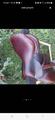 selle jump’in