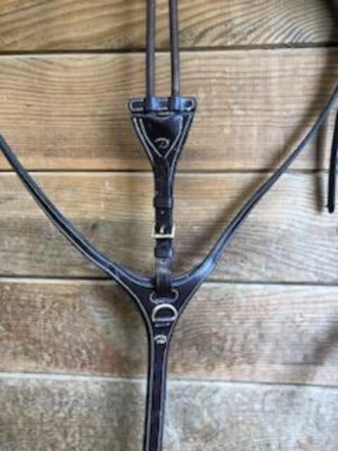 Martingale D motion