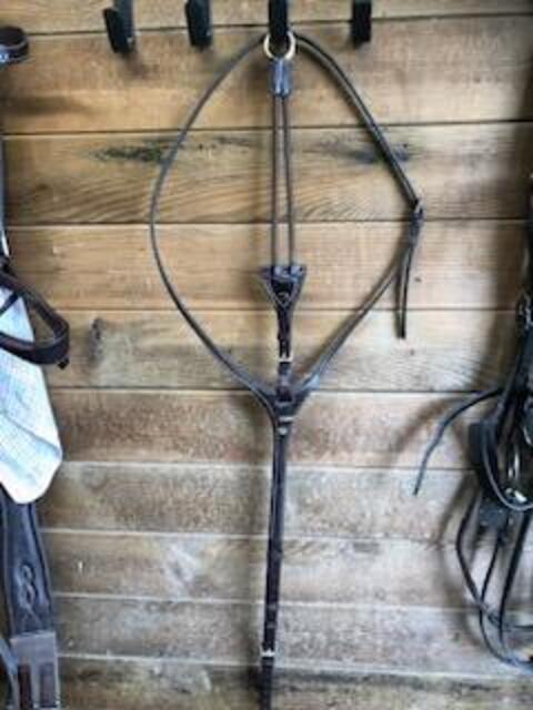 Martingale D motion