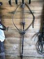 Martingale D motion