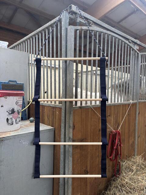 Porte-tapis Canter