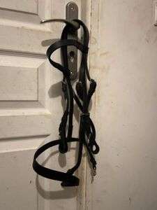 filet taille shetland / poney