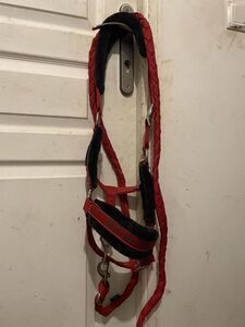 licol rouge fouganza