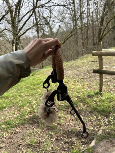 hackamore