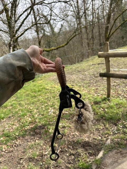 hackamore