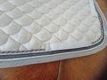 tapis blanc dressage