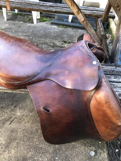 Selle forestier