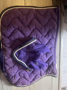 ensemble equitheme violet