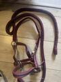 licol + longe bordeaux poney