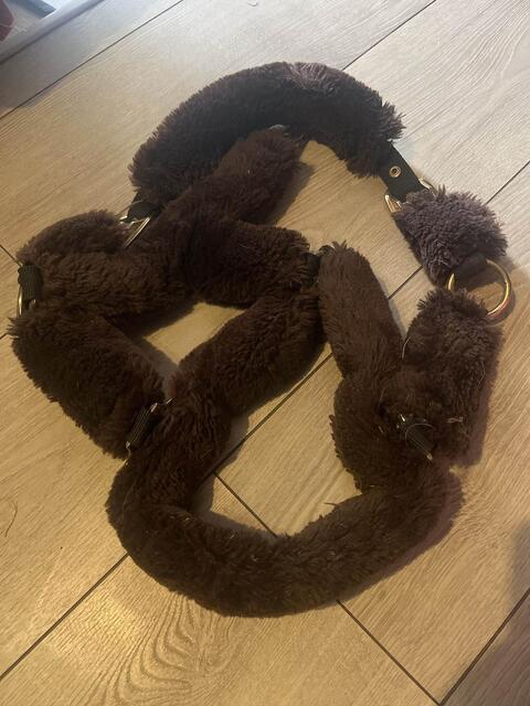 licol tout mouton Kentucky poney