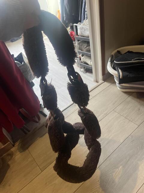 licol tout mouton Kentucky poney