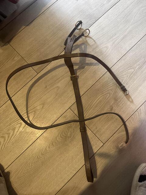 martingale marron poney