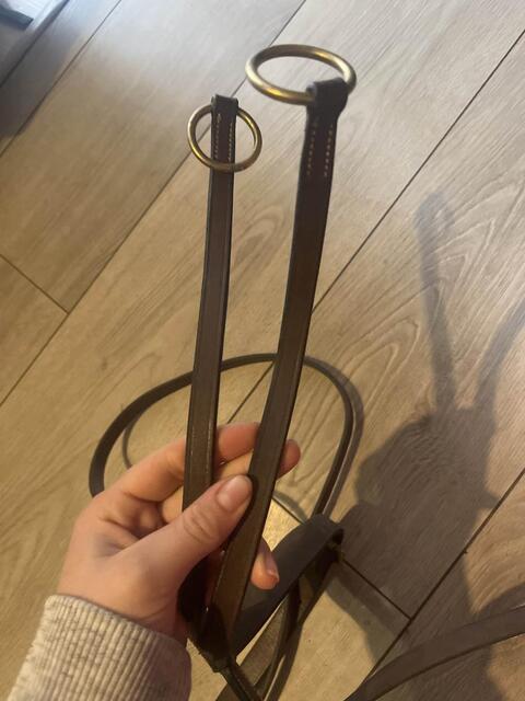 martingale marron poney