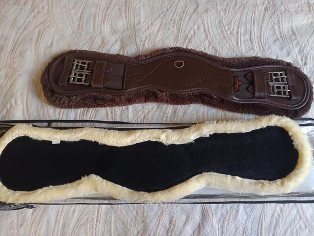 Sangle courte anatomique Kentucky 60cm mouton amovible