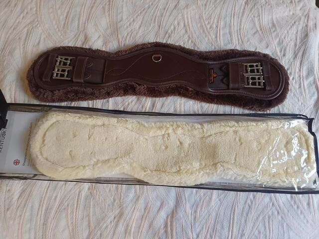 Sangle courte anatomique Kentucky 60cm mouton amovible
