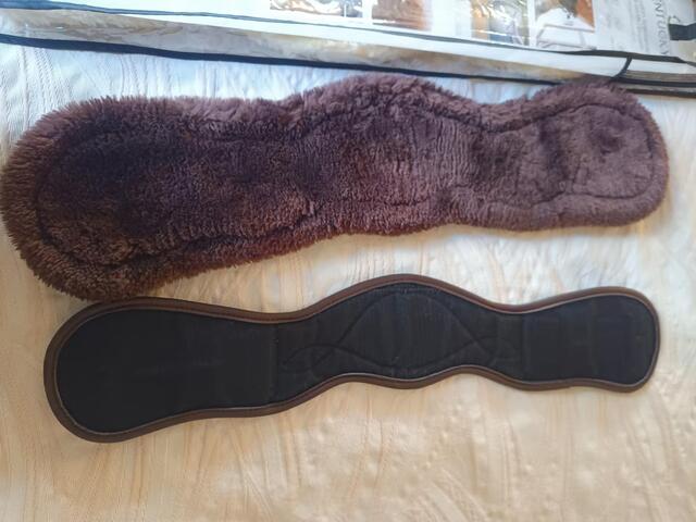 Sangle courte anatomique Kentucky 60cm mouton amovible