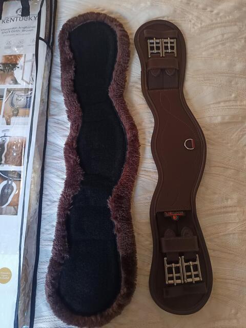 Sangle courte anatomique Kentucky 60cm mouton amovible