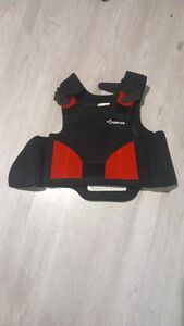 Plastron noir